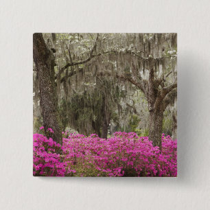 Badge Carré 5 Cm États-Unis, Géorgie, Savannah, Printemps à l'histo
