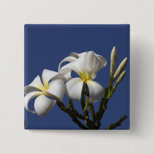 Badge Carré 5 Cm États-Unis, Hawaï, Kauai, plumeria blanc.