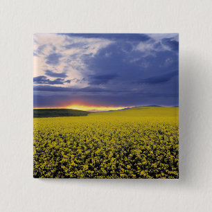 Badge Carré 5 Cm États-Unis, Idaho, vallée du Swan. Un coucher de s