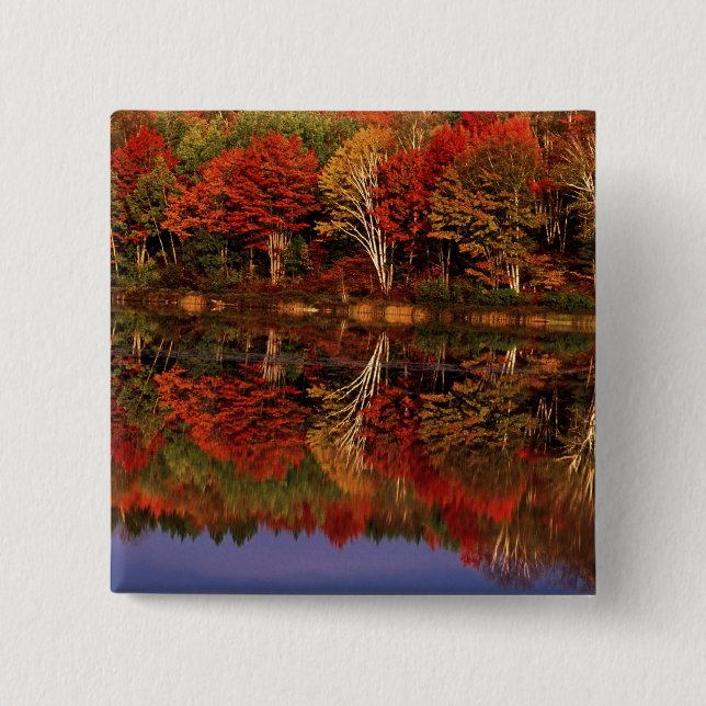 Badge Carré 5 Cm États-Unis, Michigan, Haute Péninsule.Chute (Devant)