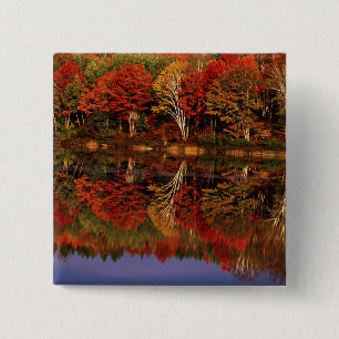 Badge Carré 5 Cm États-Unis, Michigan, Upper Peninsula. Automne