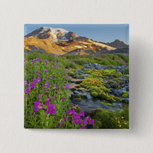 Badge Carré 5 Cm États-Unis, Mt. Rainier National Park, Washington.