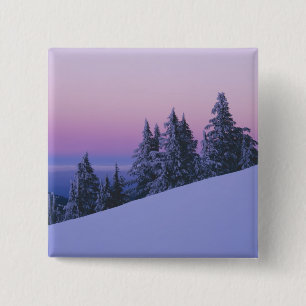 Badge Carré 5 Cm États-Unis, Oregon, forêt nationale de Deschutes, 