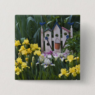 Badge Carré 5 Cm États-Unis, Pennsylvanie. Les iris de jardin pouss