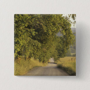 Badge Carré 5 Cm États-Unis, Tennessee, Great Smoky Mountains Natio