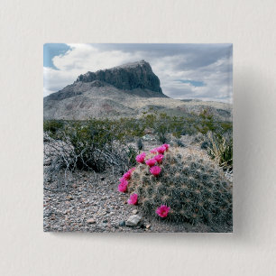 Badge Carré 5 Cm États-Unis, Texas, Parc national de Big Bend. Flor