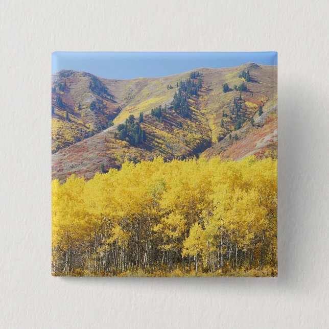 Badge Carré 5 Cm États-Unis, Utah, Forêt nationale de Wasatch-Cache (Devant)