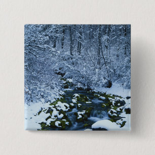 Badge Carré 5 Cm États-Unis, Utah, forêt nationale de Wasatch-Cat