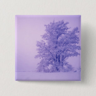 Badge Carré 5 Cm États-Unis, Washington, Comté de Spokane, Frosted