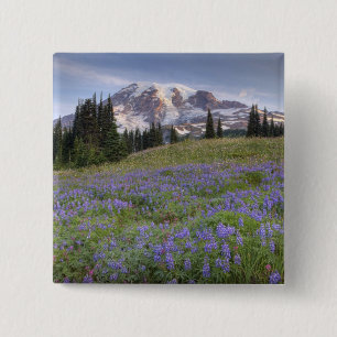 Badge Carré 5 Cm États-Unis, Washington, Mt. Rainier NP, Mt. Rainie