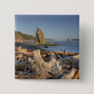 Badge Carré 5 Cm États-Unis, Washington, Parc national Olympique, R