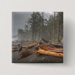 Badge Carré 5 Cm États-Unis, Washington, Parc national Olympique, R