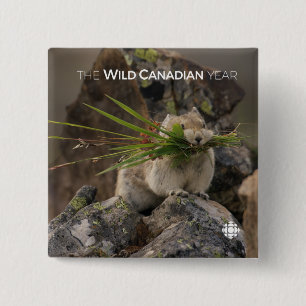 Badge Carré 5 Cm Été - American Pica