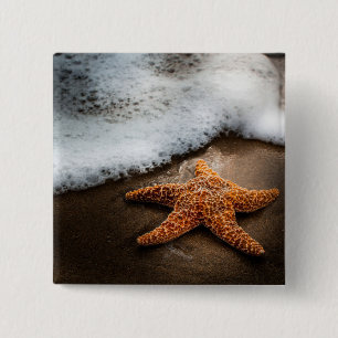 Badge Carré 5 Cm Étoiles de mer seules sur la plage