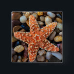 Badge Carré 5 Cm Étoiles de mer sur des roches<br><div class="desc">Étoiles de mer sur des roches</div>
