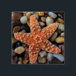 Badge Carré 5 Cm Étoiles de mer sur des roches<br><div class="desc">Étoiles de mer sur des roches</div>