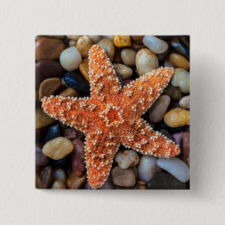 Badge Carré 5 Cm Étoiles de mer sur des roches