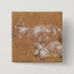 Badge Carré 5 Cm Étude de Thomas Gainsborough des chèvres