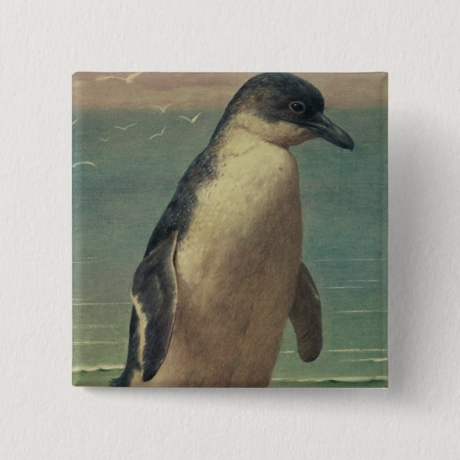 Badge Carré 5 Cm Étude d'un pingouin (Devant)