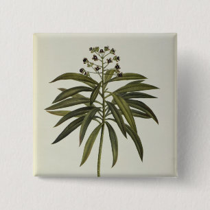 Badge Carré 5 Cm Euphorbe Mellifera