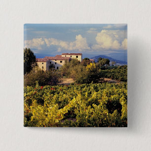 Badge Carré 5 Cm Europe, France, Bonnieux. Les vignobles couvrent l