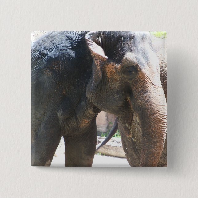Badge Carré 5 Cm Face d'éléphant (Devant)