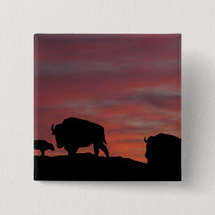Badge Carré 5 Cm Famille Bison