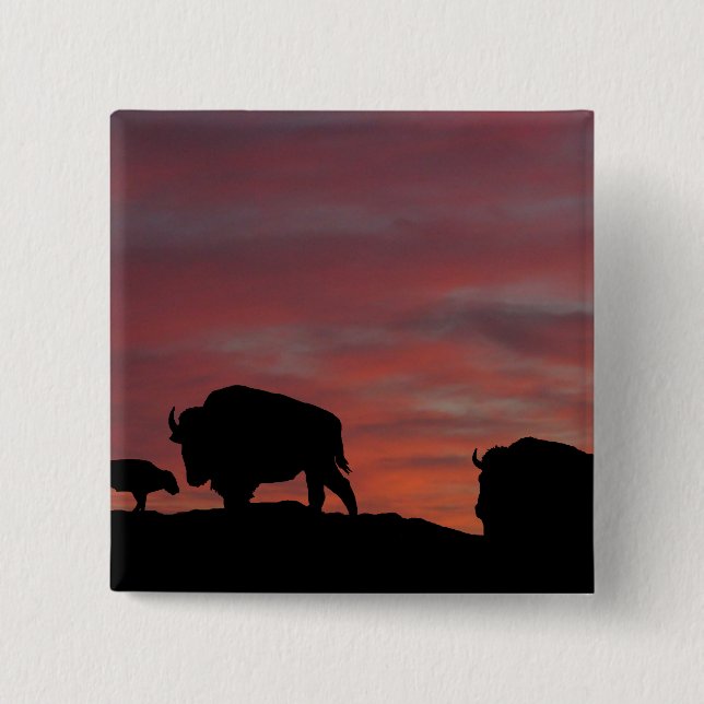 Badge Carré 5 Cm Famille Bison (Devant)