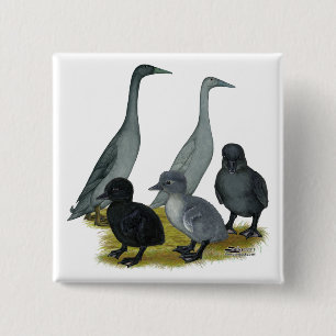 Badge Carré 5 Cm Famille Blue Runner Duck