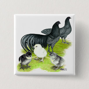 Badge Carré 5 Cm Famille Blue Sumatra