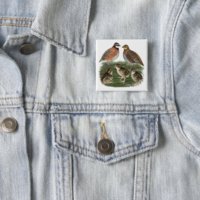 Badge Carré 5 Cm Famille Bobwhite Quail (En situation)