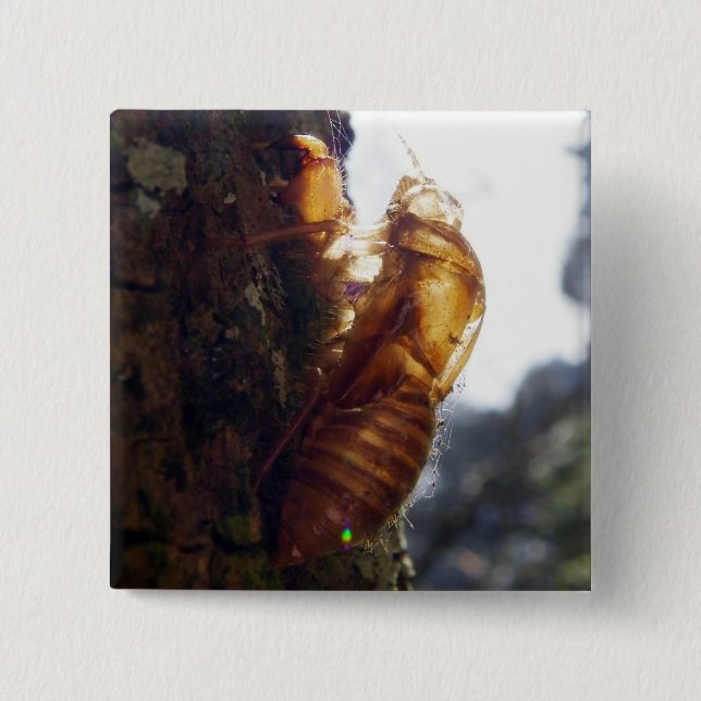 Badge Carré 5 Cm Fantôme de Shell (Devant)