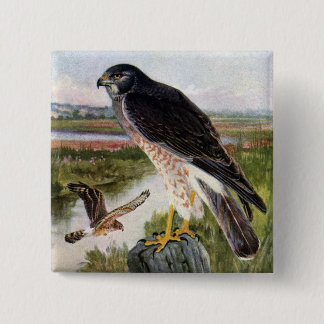 Badge Carré 5 Cm Faucon de marais