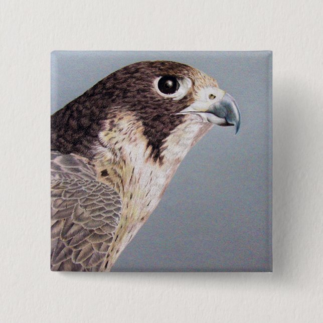 Badge Carré 5 Cm Faucon pérégrin (Devant)