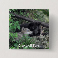 Faune Loup gris conception animal amoureux