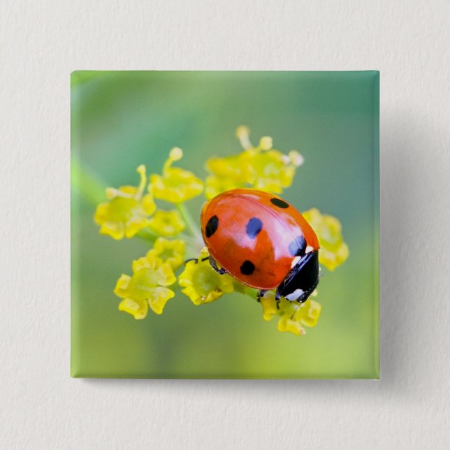 Badge Carré 5 Cm femme au sommet (Devant)
