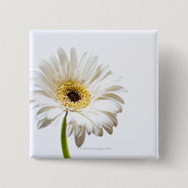 Badge Carré 5 Cm Fermez-vous de la tête de fleur de Gerbera (Devant)