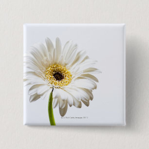 Badge Carré 5 Cm Fermez-vous de la tête de fleur de Gerbera