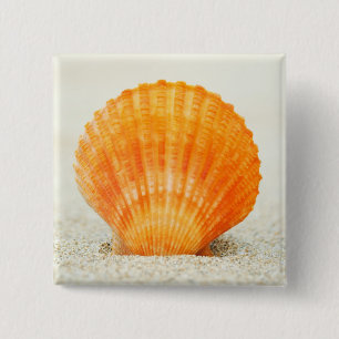 Badge Carré 5 Cm Feston Shell orange se tenant droit en sable