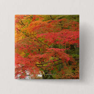 Badge Carré 5 Cm Feuillage d'automne japonais
