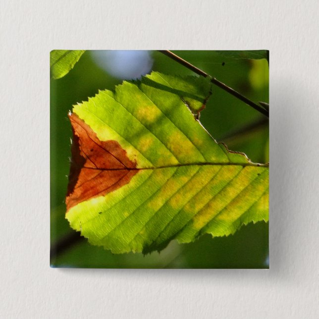 Badge Carré 5 Cm Feuille de chute verte (Devant)
