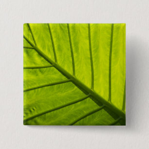 Badge Carré 5 Cm Feuilles vertes veinées de feuillage tropical en 2