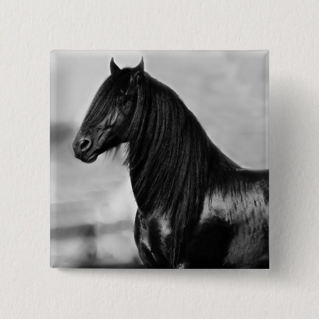 Badge Carré 5 Cm Fière Friesienne cheval d'étalon noir (Devant)