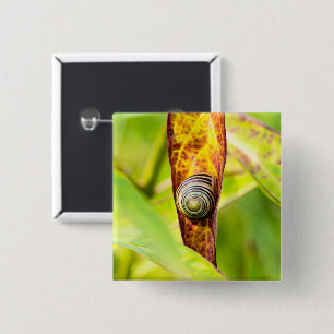 Badge Carré 5 Cm fixation calme