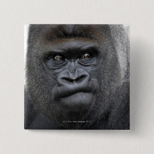 Badge Carré 5 Cm Flachlandgorilla, gorille de gorille,