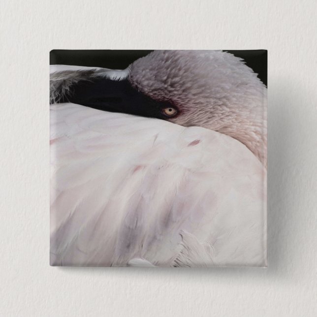 Badge Carré 5 Cm Flamant (Devant)