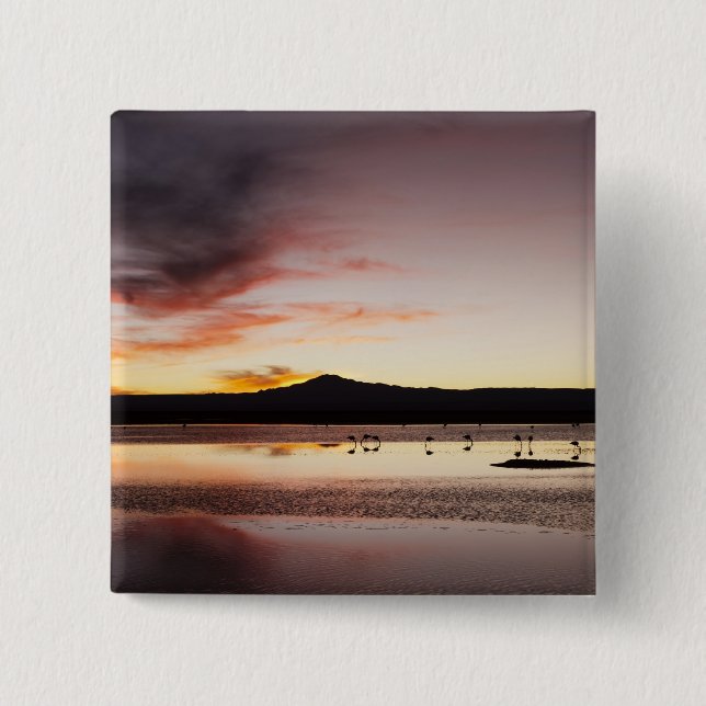 Badge Carré 5 Cm Flamant du Chili (Devant)