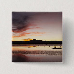 Badge Carré 5 Cm Flamant rose chilien