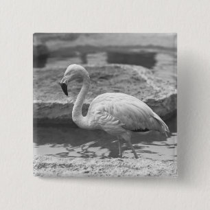 Badge Carré 5 Cm Flamant rose pataugeant dans l'eau B&W