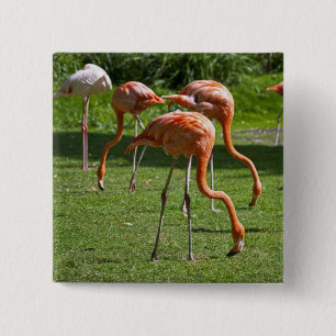 Badge Carré 5 Cm Flamants roses
